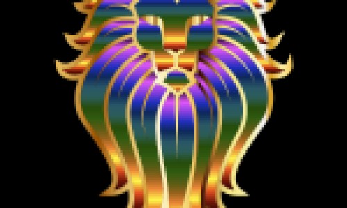 中药丹参的作用网 | 中药丹参的作用和用途,中药丹参的作用是什么